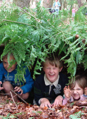 children_hiding_under_bracken