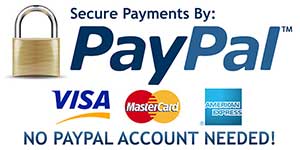 paypal_secure_portal